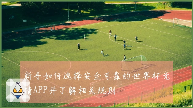 新手如何选择安全可靠的世界杯竞猜APP并了解相关规则