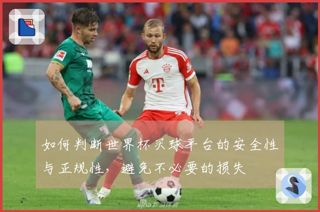 如何判断世界杯买球平台的安全性与正规性，避免不必要的损失