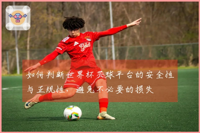 如何判断世界杯买球平台的安全性与正规性，避免不必要的损失