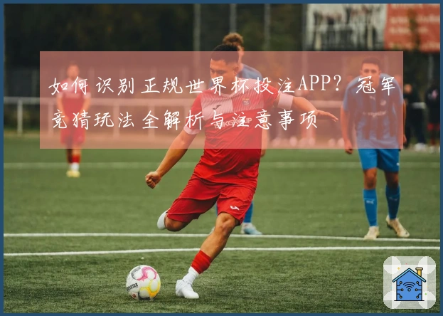 如何识别正规世界杯投注APP？冠军竞猜玩法全解析与注意事项