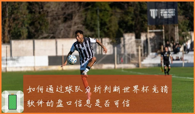 如何通过球队分析判断世界杯竞猜软件的盘口信息是否可信