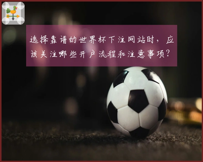 选择靠谱的世界杯下注网站时，应该关注哪些开户流程和注意事项？