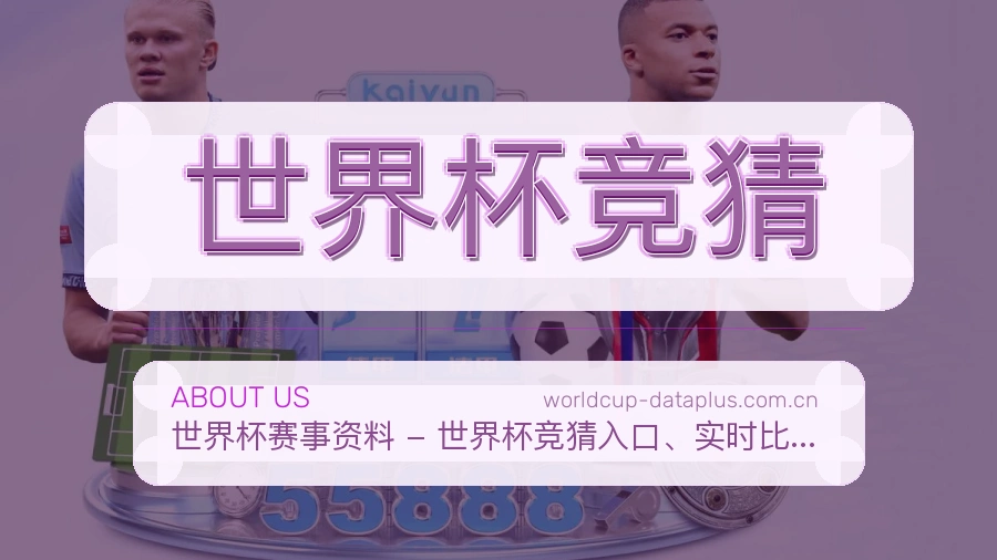 世界杯竞猜服务范围介绍